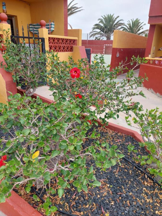 La Paloma Buena Esperanza Apartment Costa De Antigua Ngoại thất bức ảnh